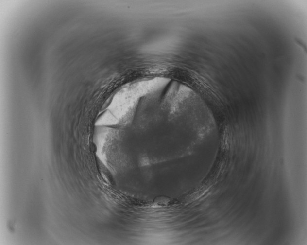 X0000100211441200806201434