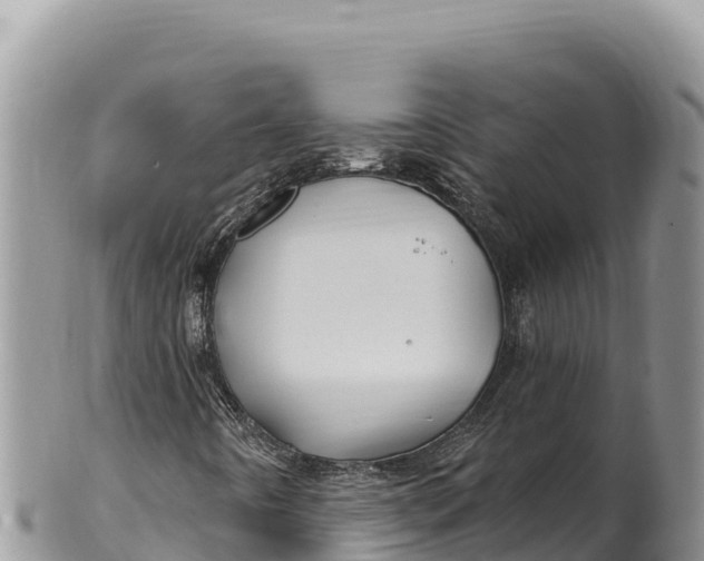 X0000100211442200806201434