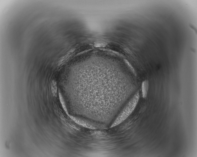 X0000100211443200806201434