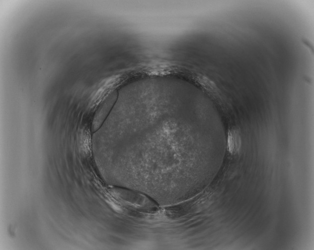 X0000100211444200806201434