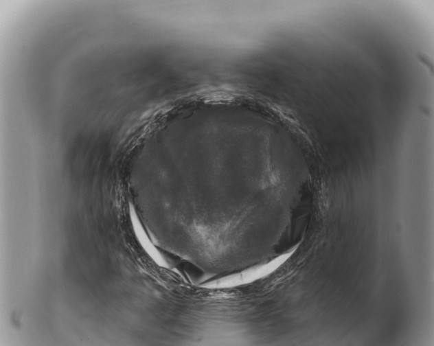 X0000100211445200806201434