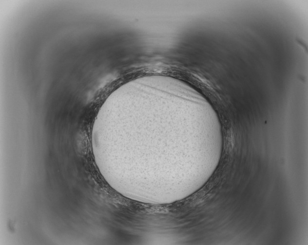 X0000100211446200806201434