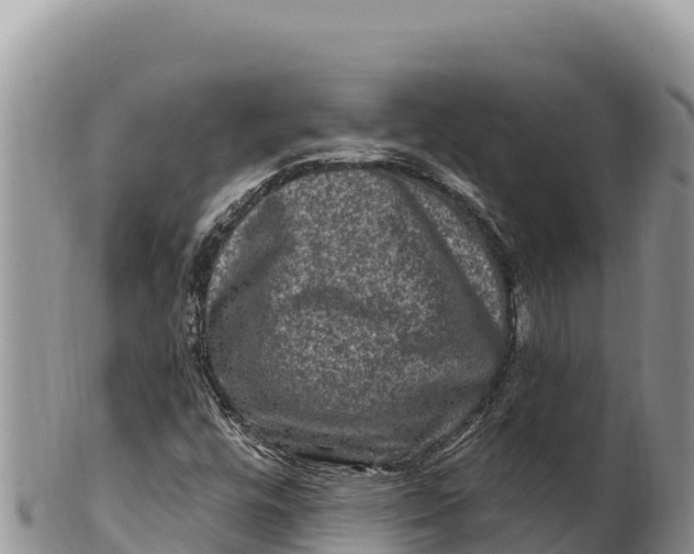 X0000100211448200806201434