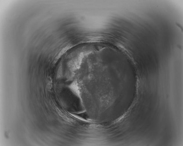 X0000100211449200806201434