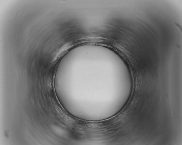 X0000100211451200806201434