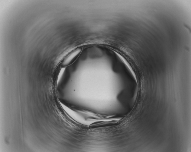 X0000100211452200806201434