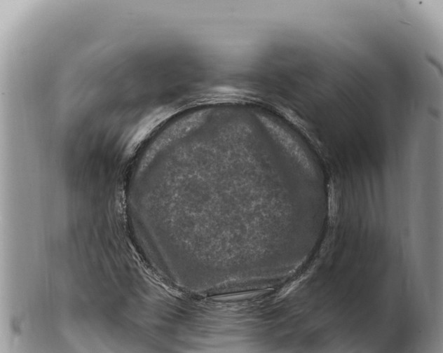 X0000100211453200806201434