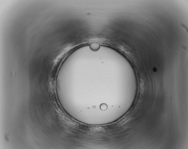 X0000100211454200806201434