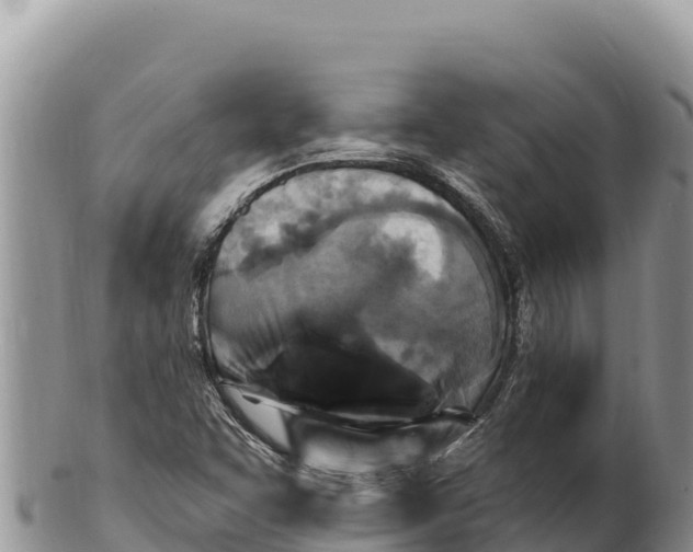 X0000100211455200806201433