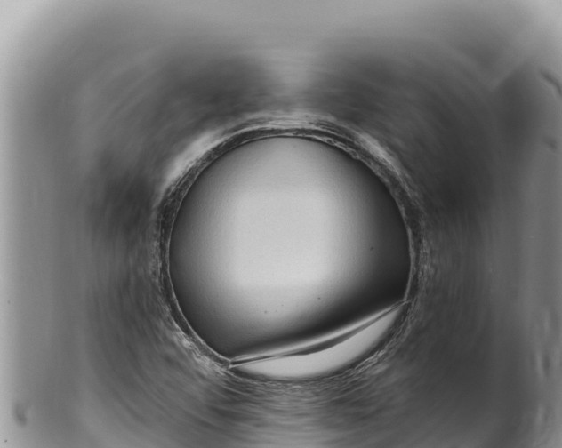 X0000100211456200806201433