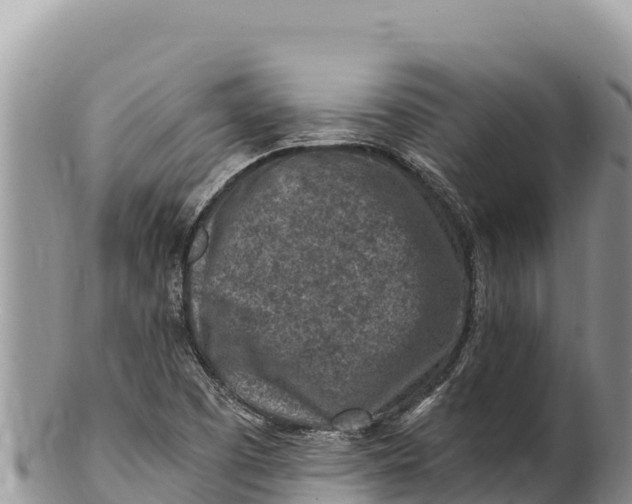 X0000100211457200806201433