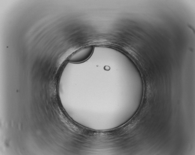 X0000100211458200806201433