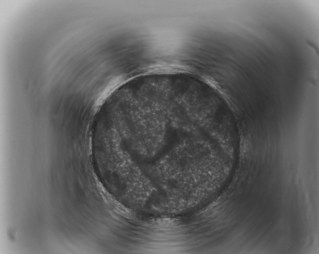 X0000100211459200806201433