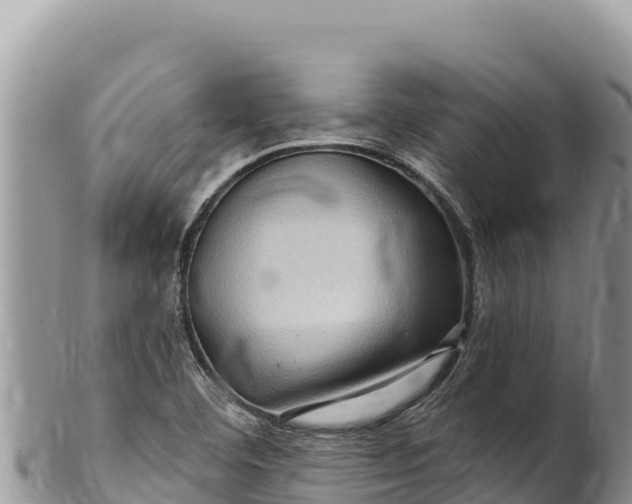 X0000100211460200806201433