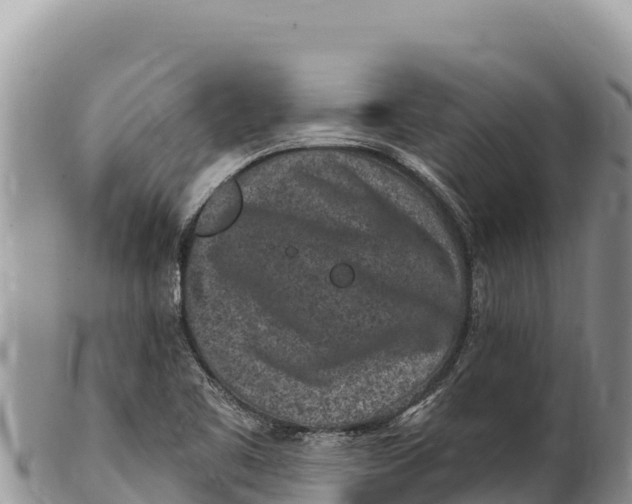 X0000100211461200806201433