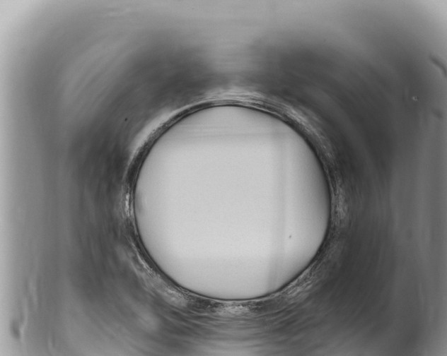 X0000100211462200806201433