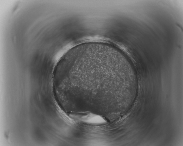 X0000100211463200806201433