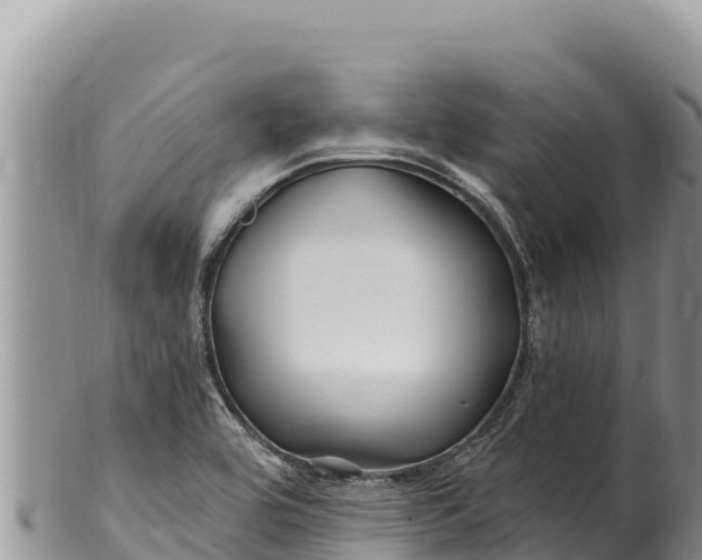 X0000100211464200806201433