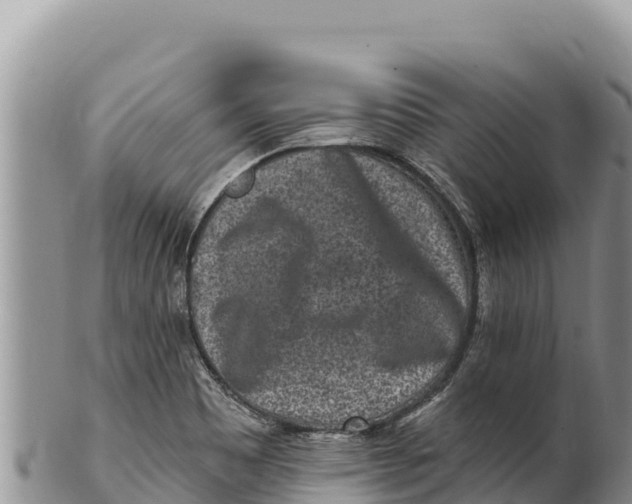 X0000100211465200806201433