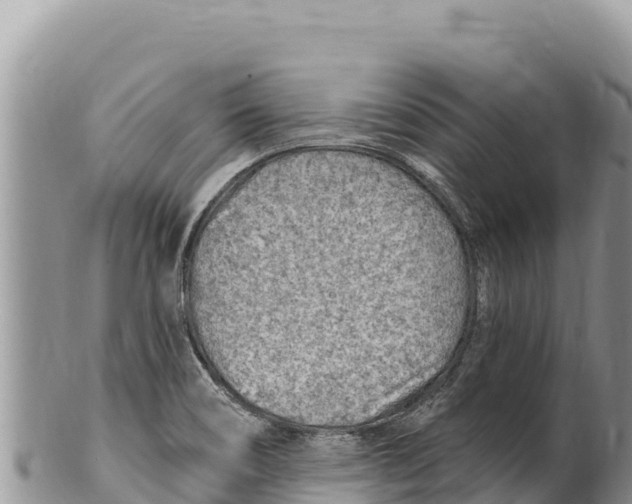 X0000100211466200806201433