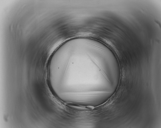 X0000100211467200806201433