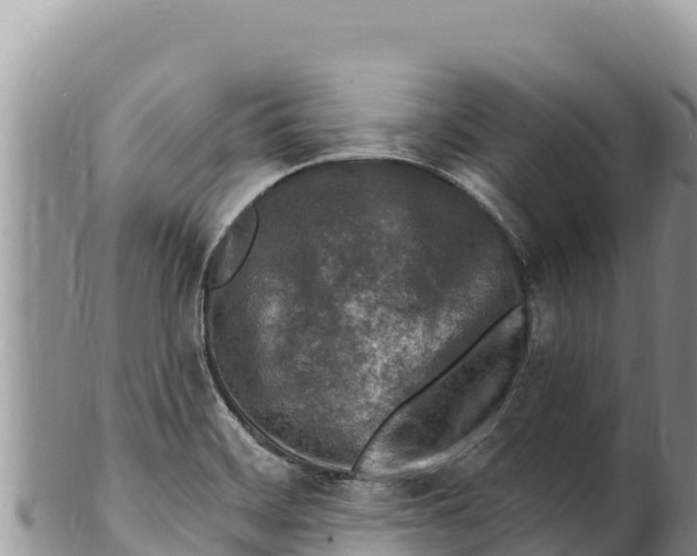 X0000100211468200806201433