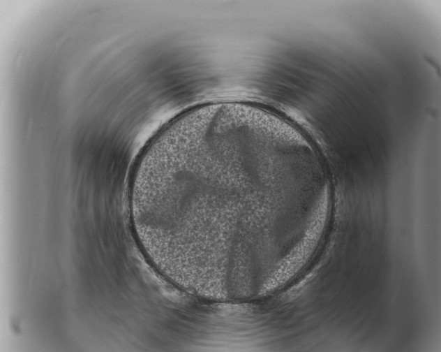 X0000100211469200806201433