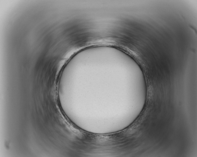 X0000100211470200806201433