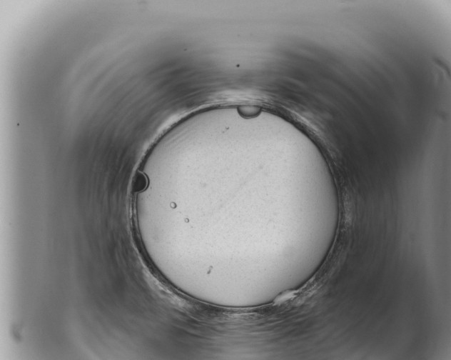 X0000100211471200806201433