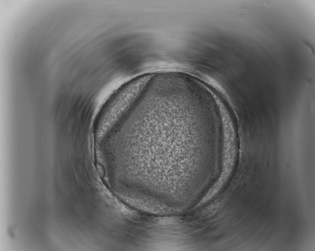 X0000100211472200806201433