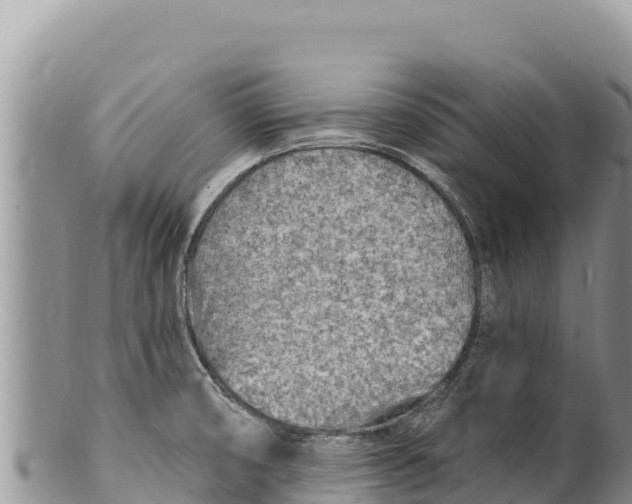 X0000100211474200806201433