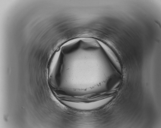 X0000100211476200806201433