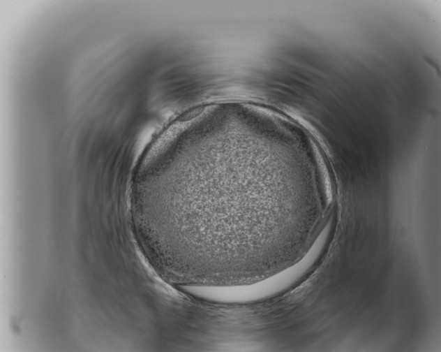 X0000100211477200806201433