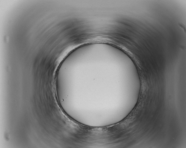 X0000100211478200806201433