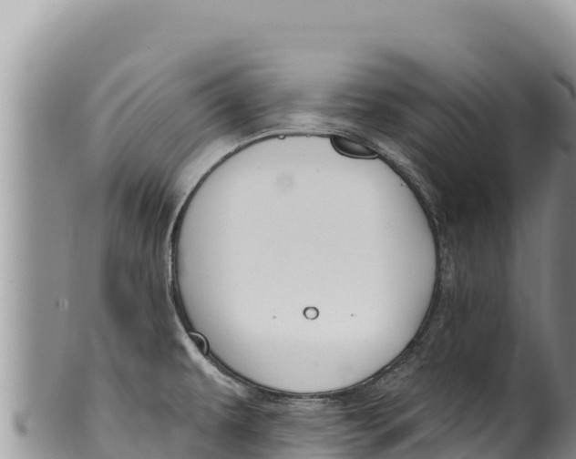 X0000100211479200806201433