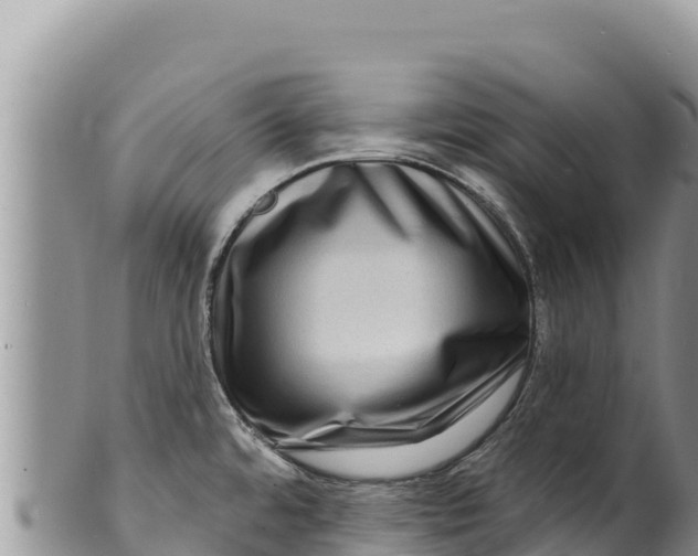 X0000100211480200806201433