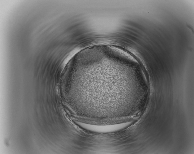 X0000100211481200806201433