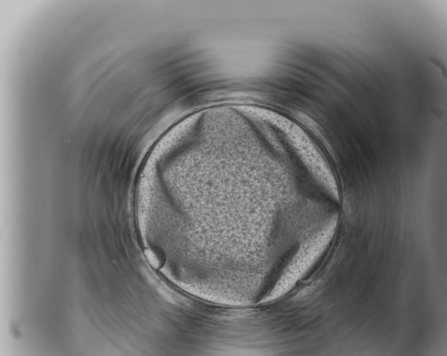 X0000100211482200806201433