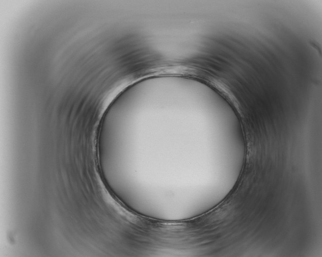 X0000100211483200806201433