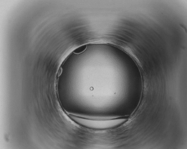 X0000100211484200806201433