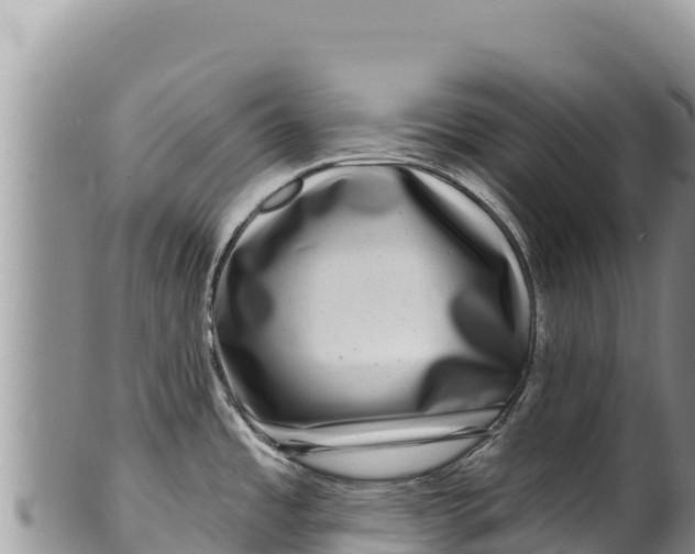 X0000100211485200806201433