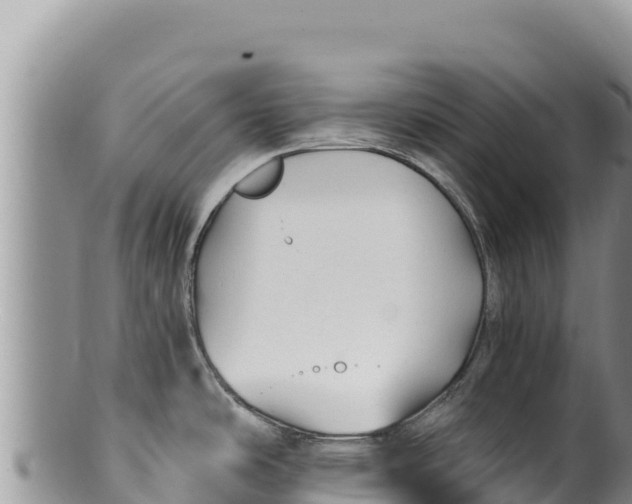 X0000100211486200806201433