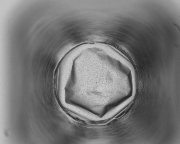 X0000100211487200806201433