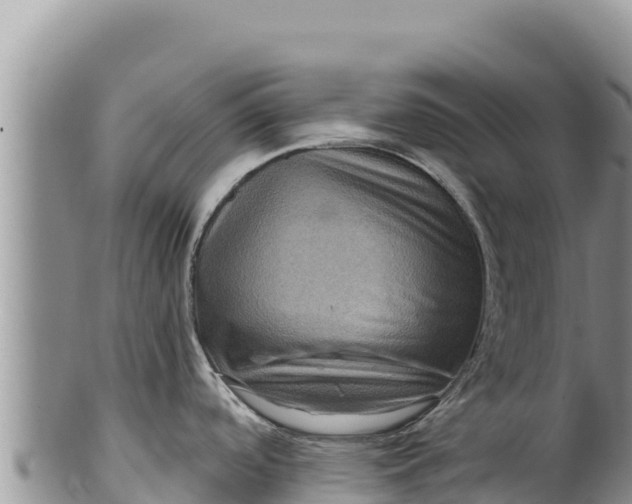 X0000100211488200806201433