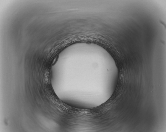 X0000100211490200806201432