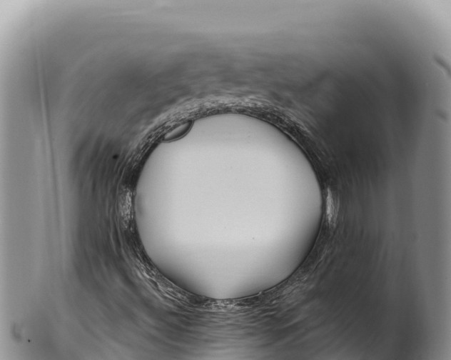 X0000100211492200806201432