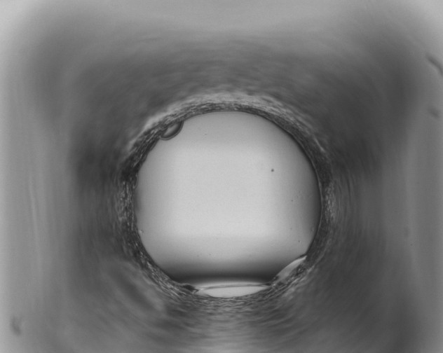 X0000100211494200806201432