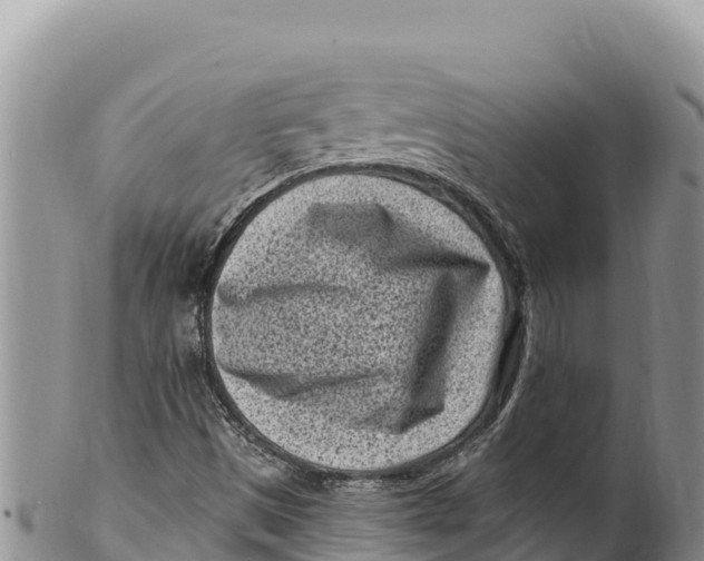 X0000100211497200806201432