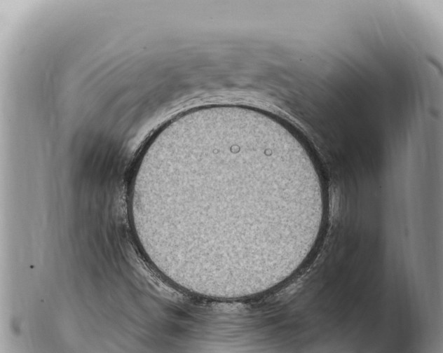 X0000100211498200806201432