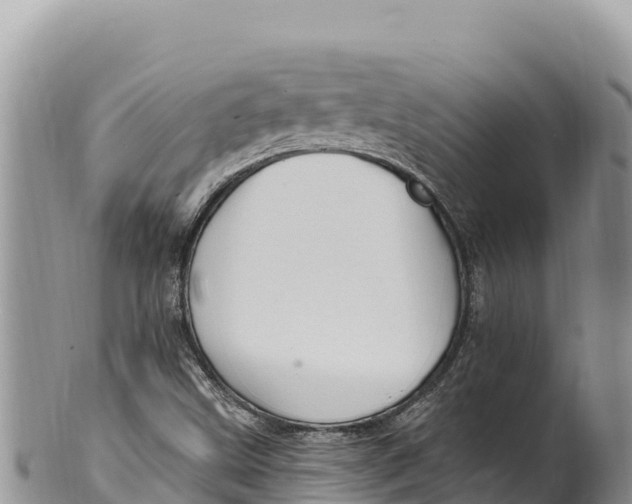 X0000100211499200806201432